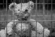 Игрушечный медведь сидит за решеткой.