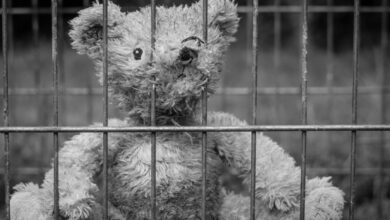 Игрушечный медведь сидит за решеткой.